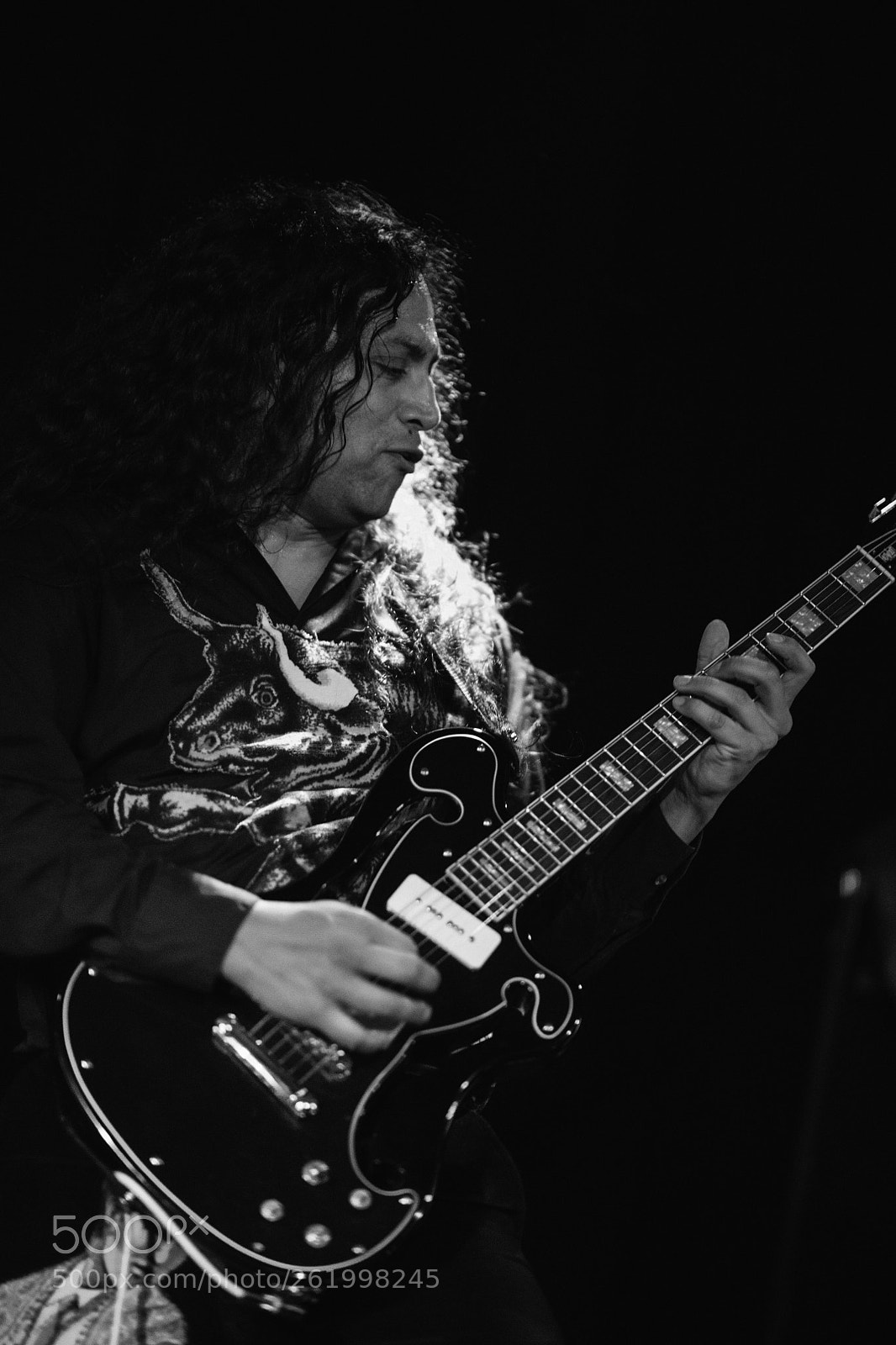 Nikon D850 sample photo. Deerhoof photography