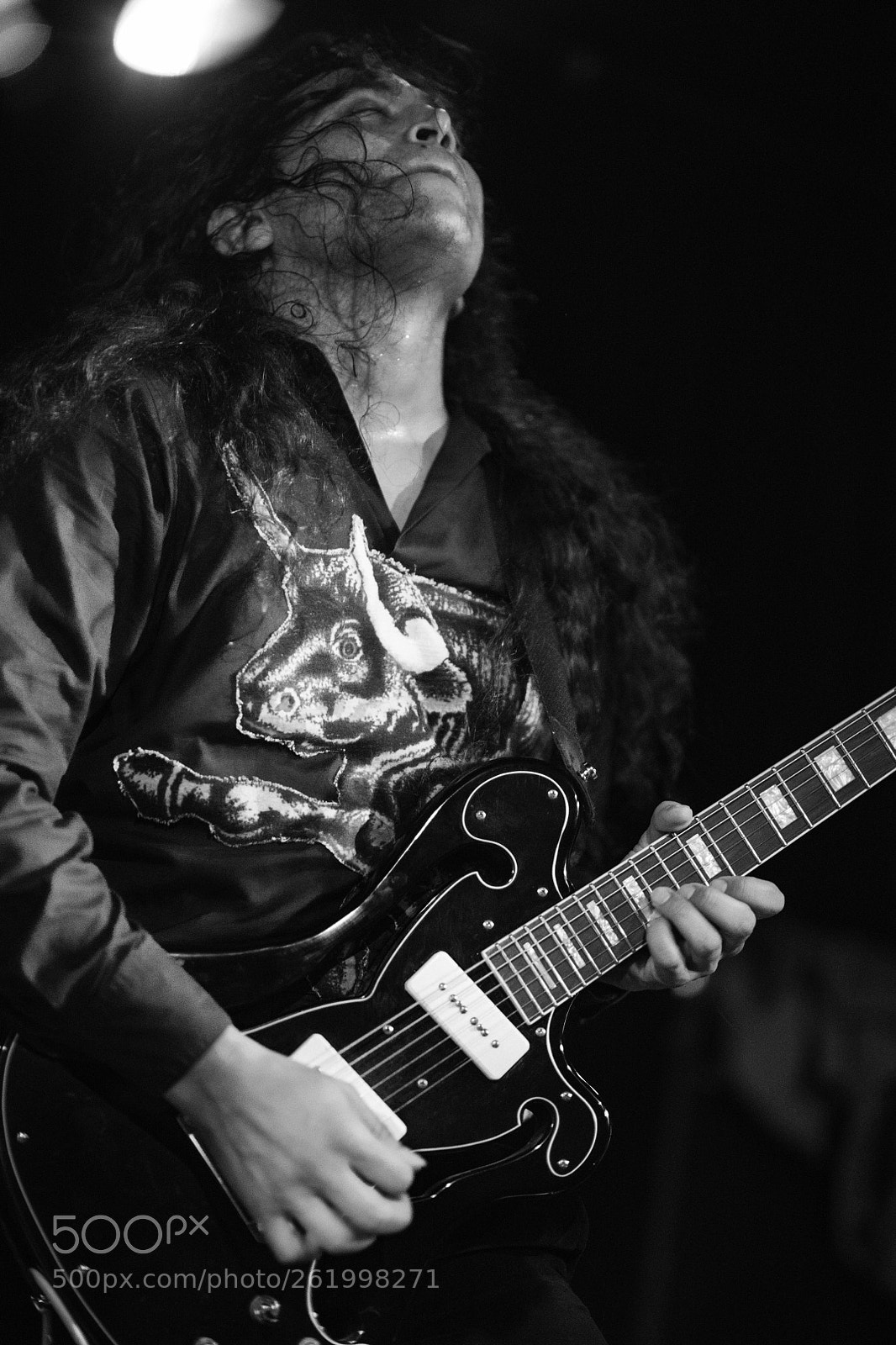 Nikon D850 sample photo. Deerhoof photography