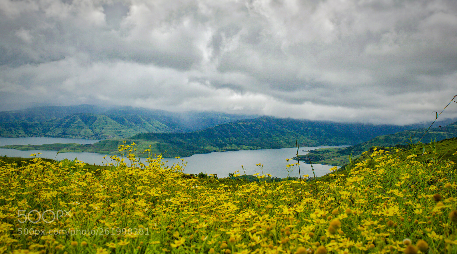 Nikon D5200 sample photo. Untitled photography