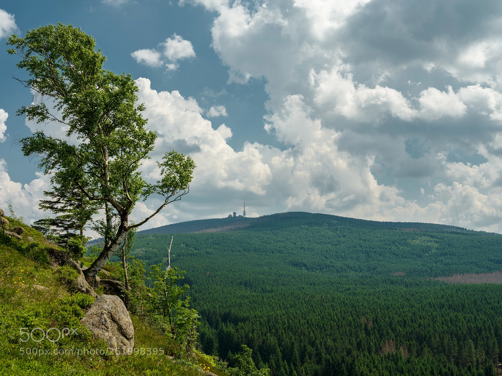 Fujifilm GFX 50S sample photo. View from the scharfenstein photography