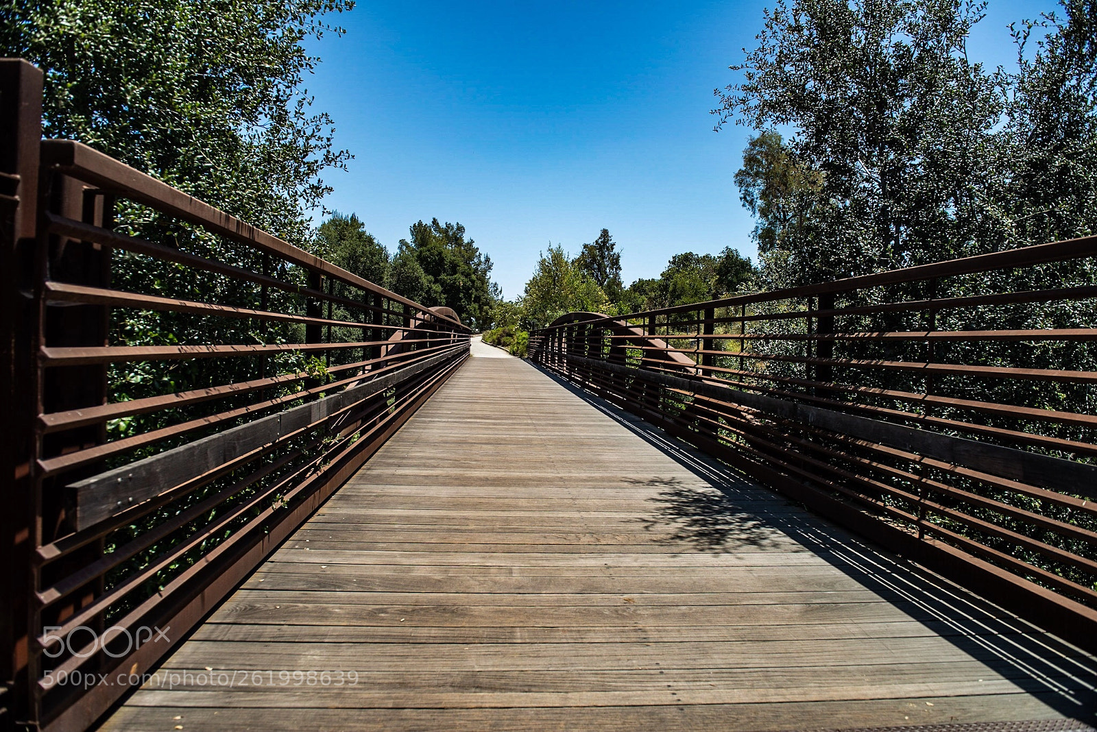 Nikon D800E sample photo. Flint wash bridge photography