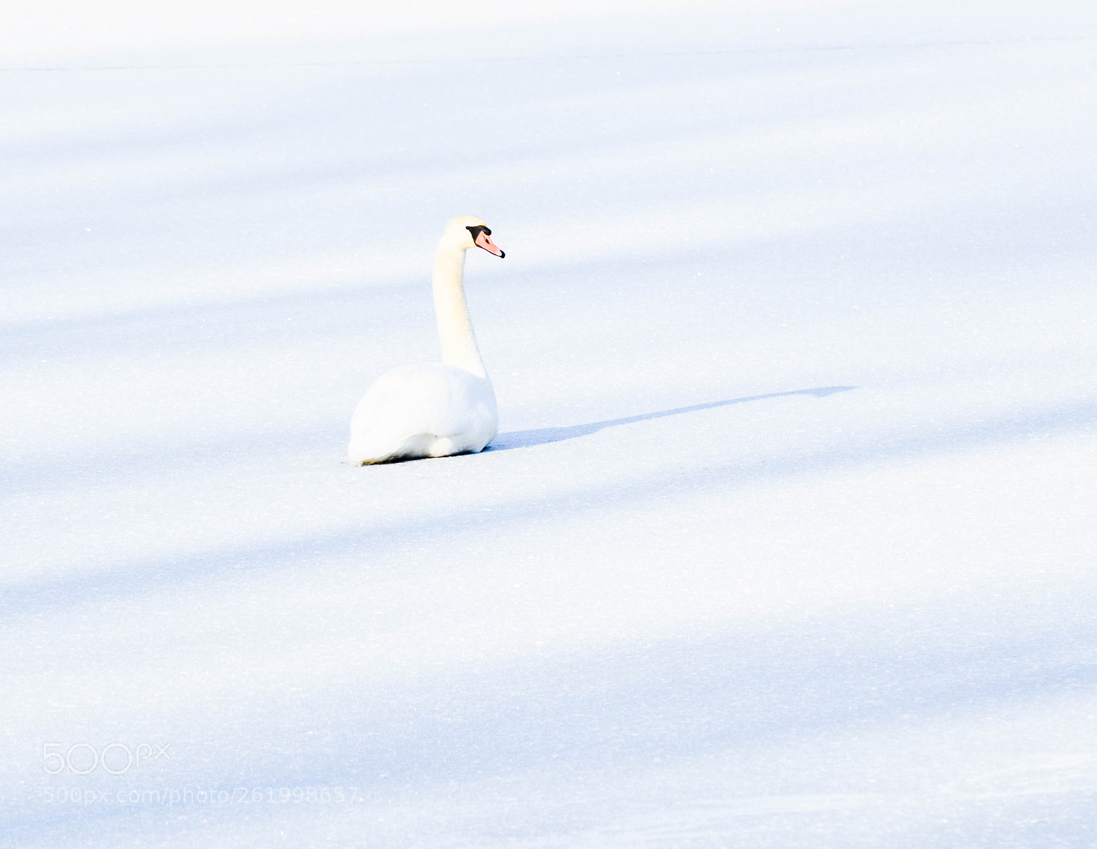 Nikon D3200 sample photo. () photography