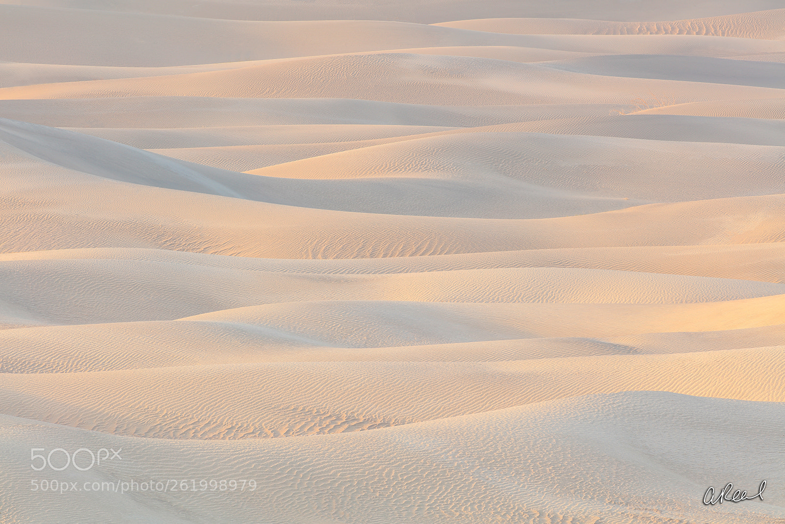 Canon EOS 5DS R sample photo. The wind in waves photography