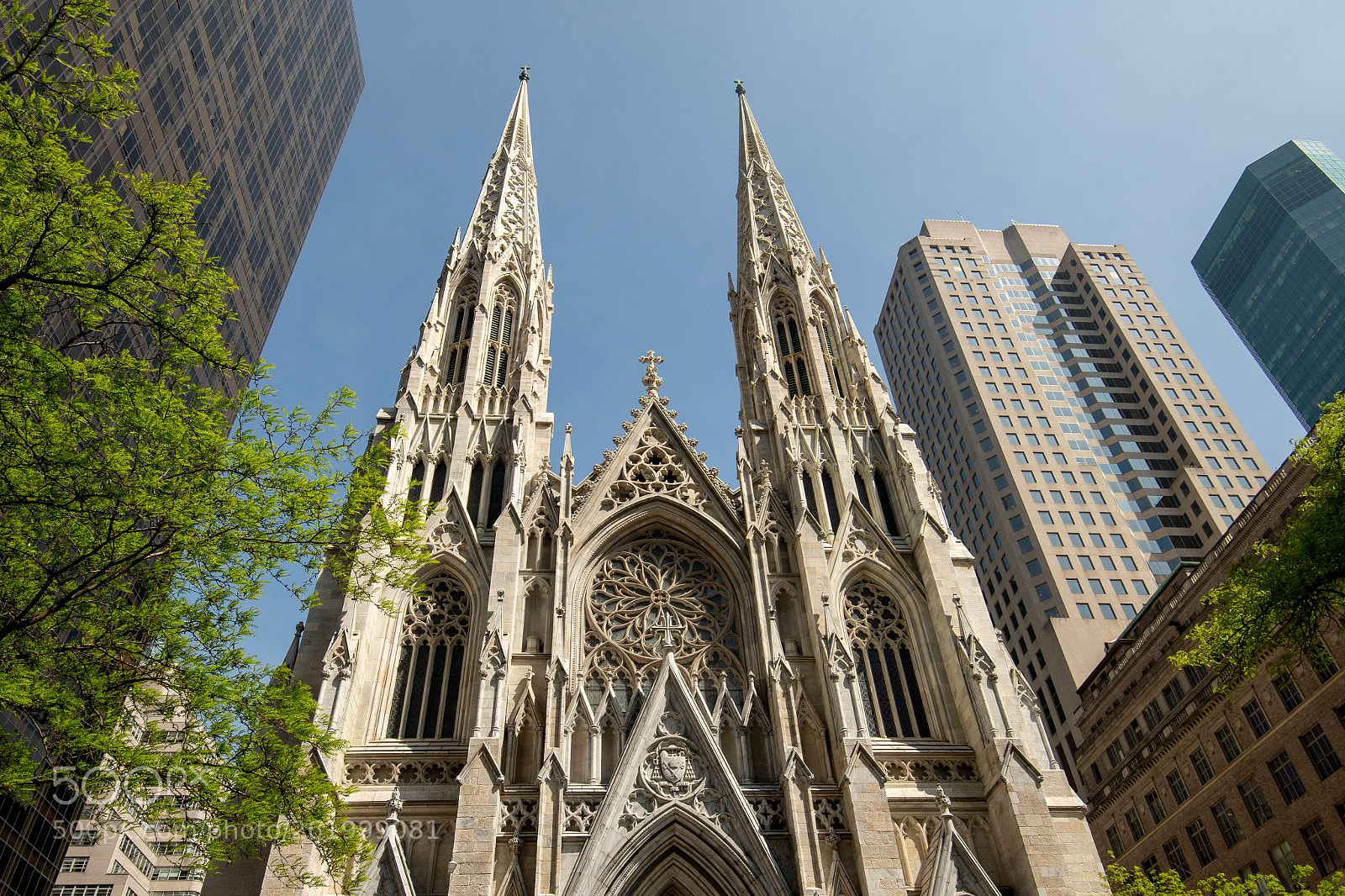 Nikon D500 sample photo. Nyc may 2018 photography