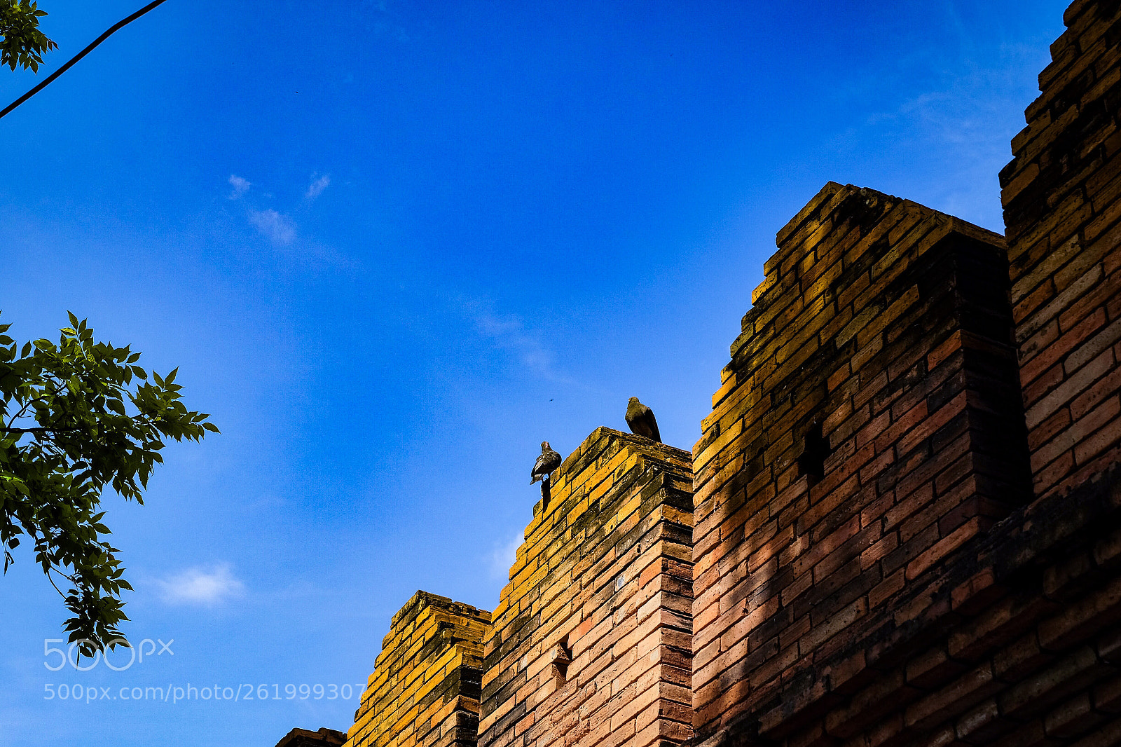 Fujifilm X-T10 sample photo. Unaffected by time photography