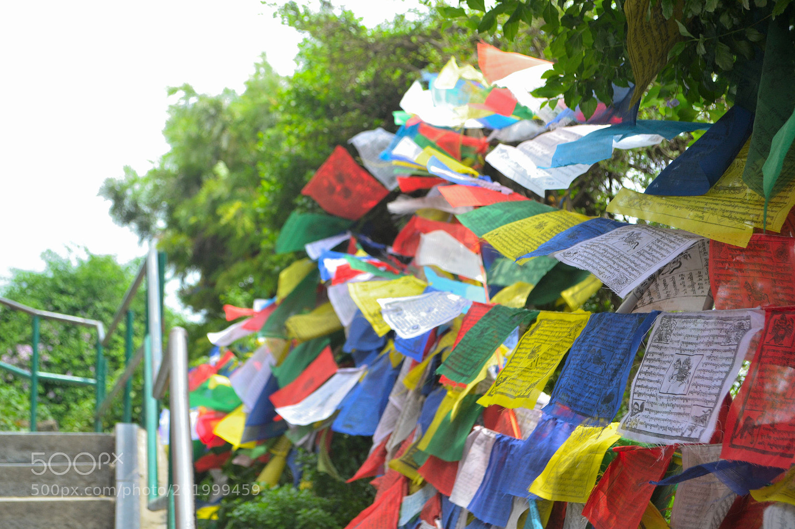 Nikon D3100 sample photo. Prayer flags photography