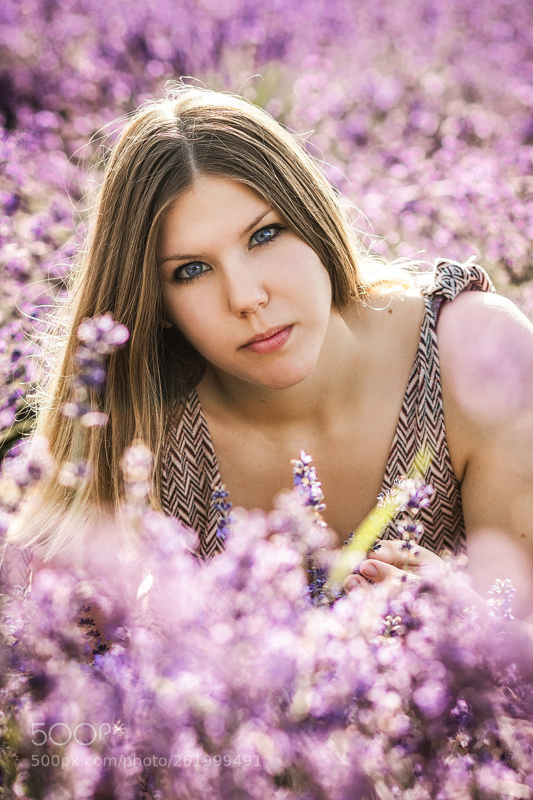 Canon EOS 80D sample photo. Lavender girl photography