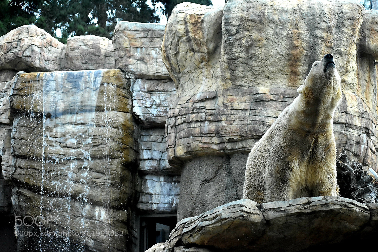 Nikon D3400 sample photo. Polar opposite photography