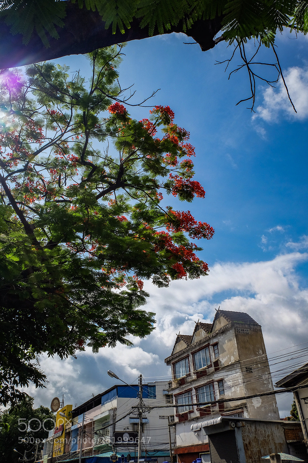 Fujifilm X-T10 sample photo. Still and blue photography