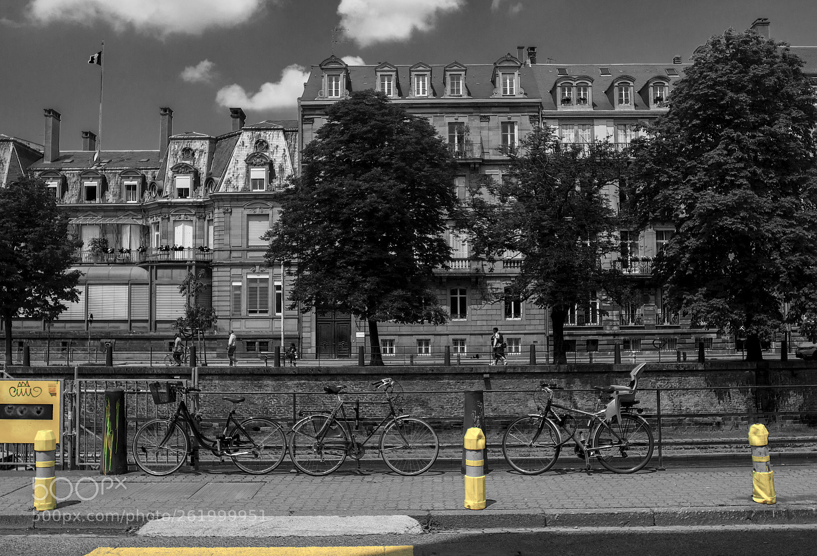 Canon EOS 50D sample photo. Yellows photography