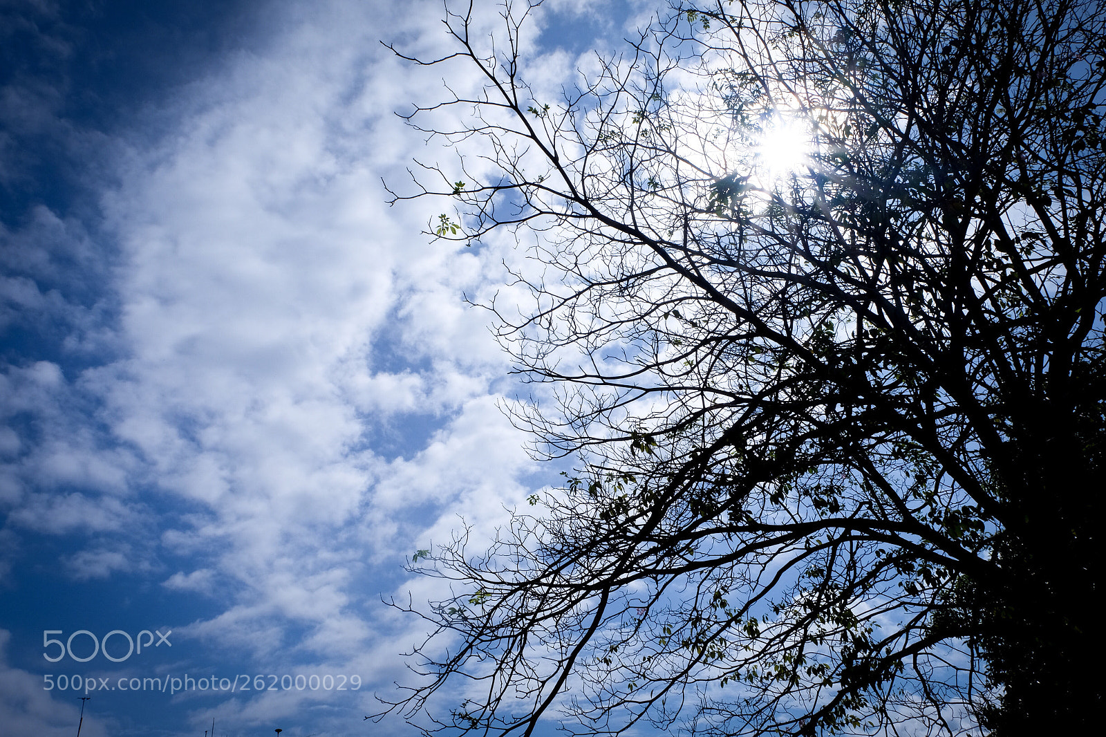 Fujifilm X-T10 sample photo. Still blue photography