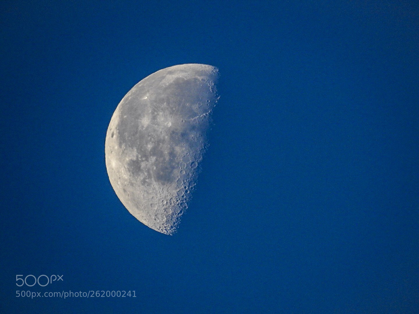 Nikon Coolpix P900 sample photo. Blue sky moon photography