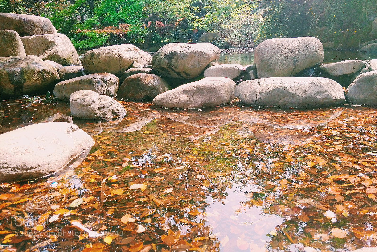 Xiaomi Redmi 4A sample photo. Untitled photography
