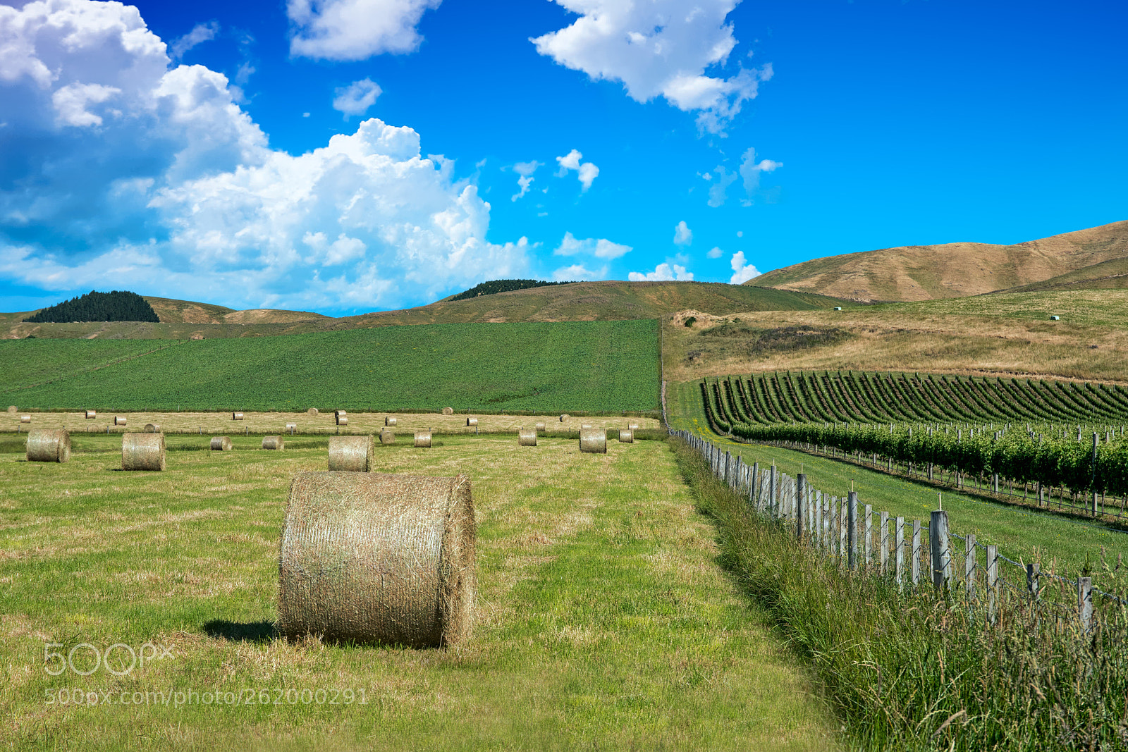 Sony a7R II sample photo. Wine and farm country photography