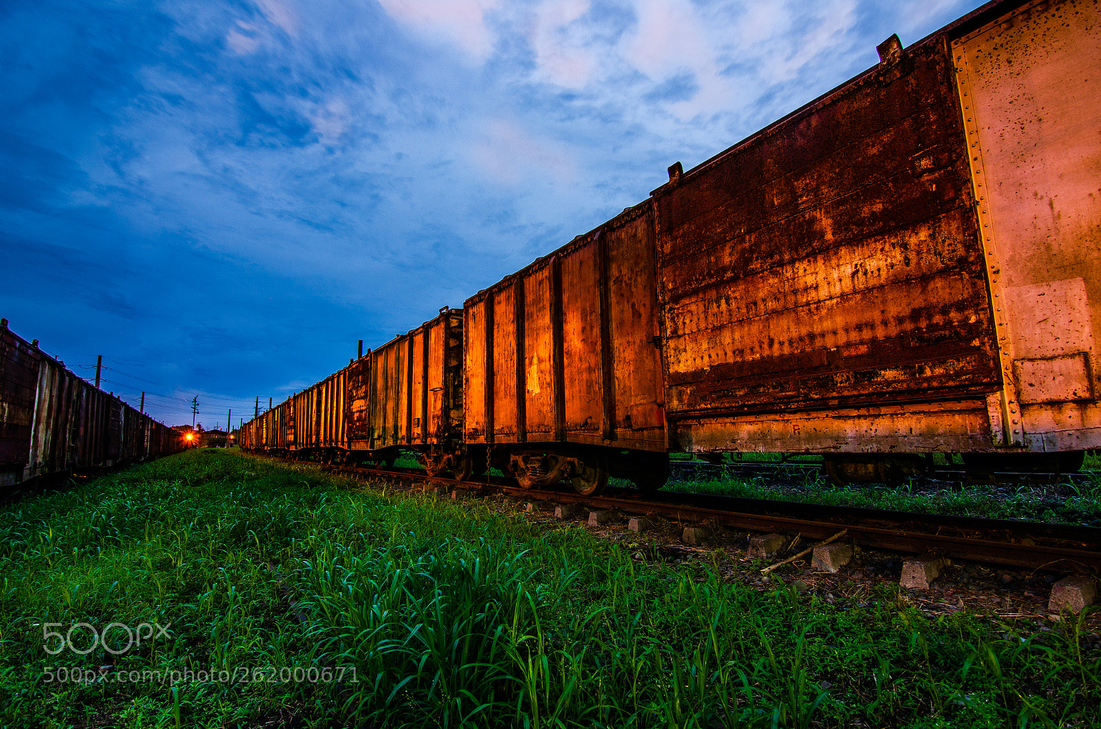 Nikon D7000 sample photo. Abandoned railway wagons photography