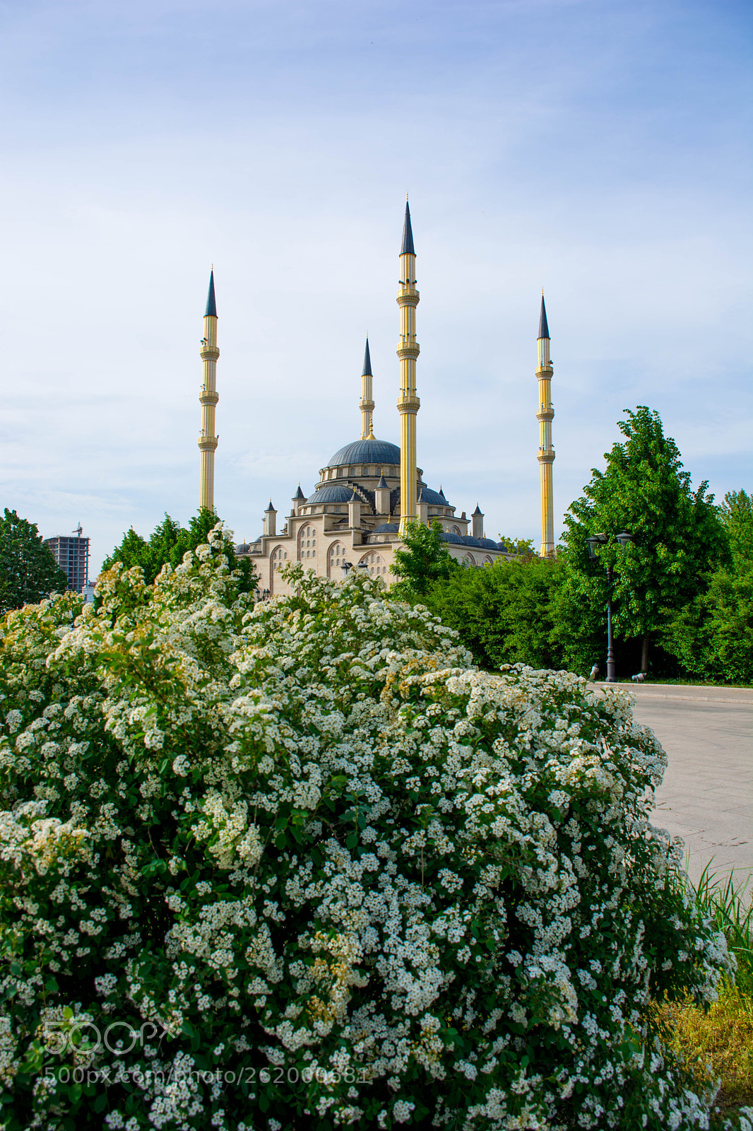 Nikon D5200 sample photo. Мечеть "Сердце Чечни" photography