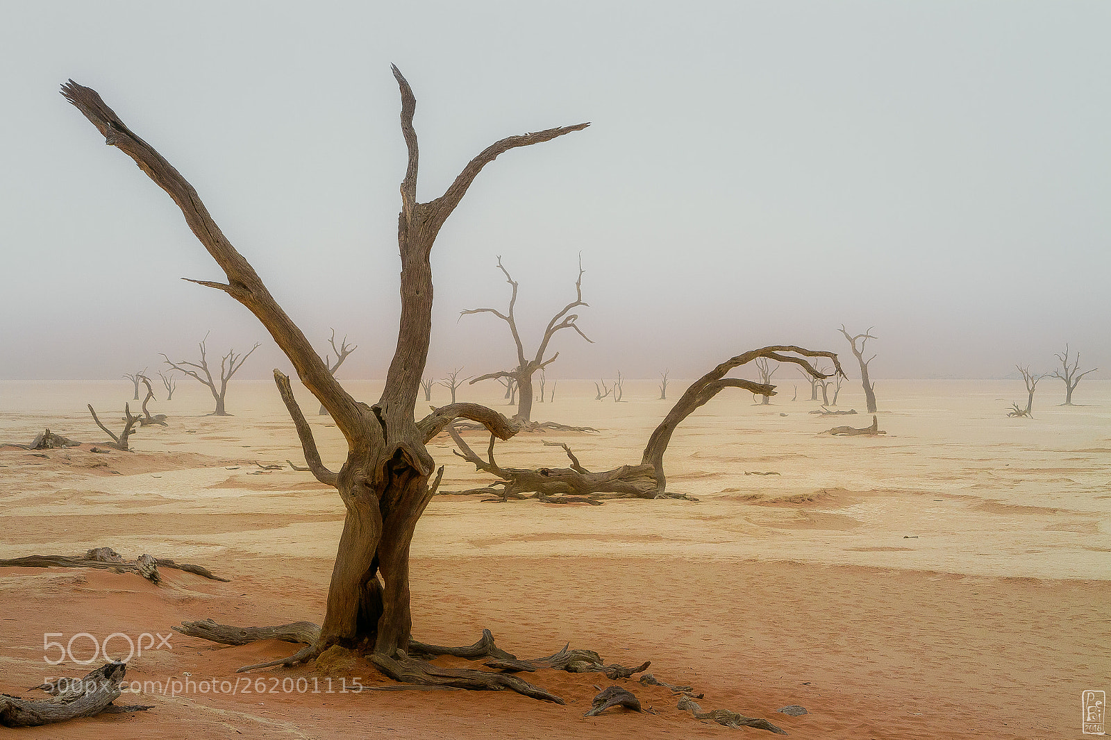 Canon EOS 7D sample photo. Mystic land photography
