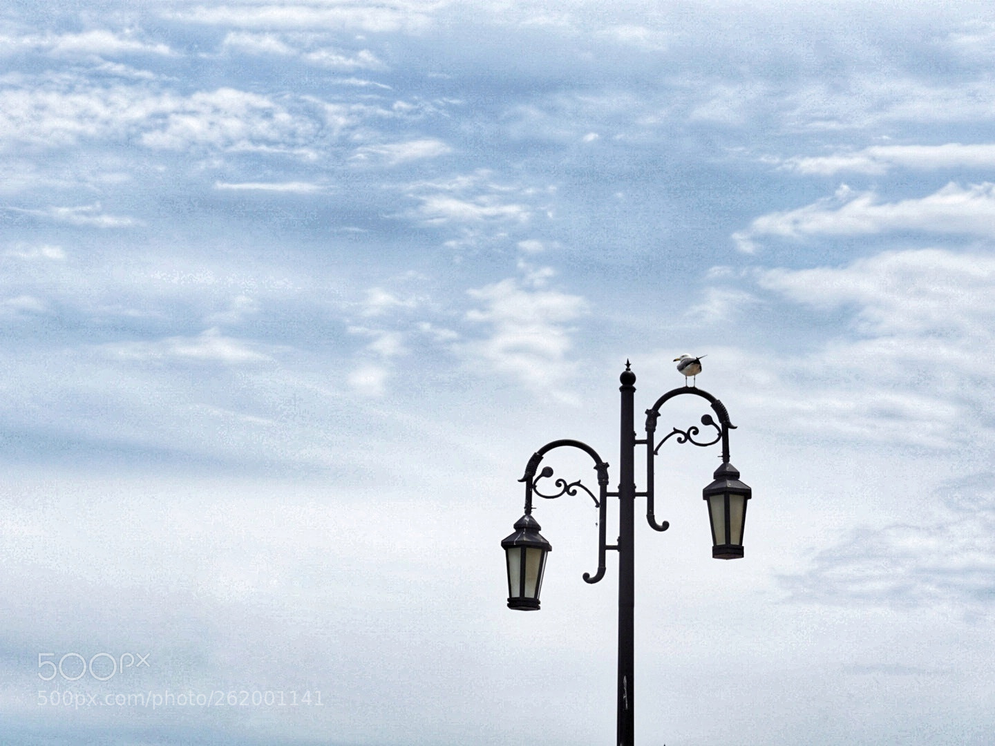 Sony a6000 sample photo. Untitled photography