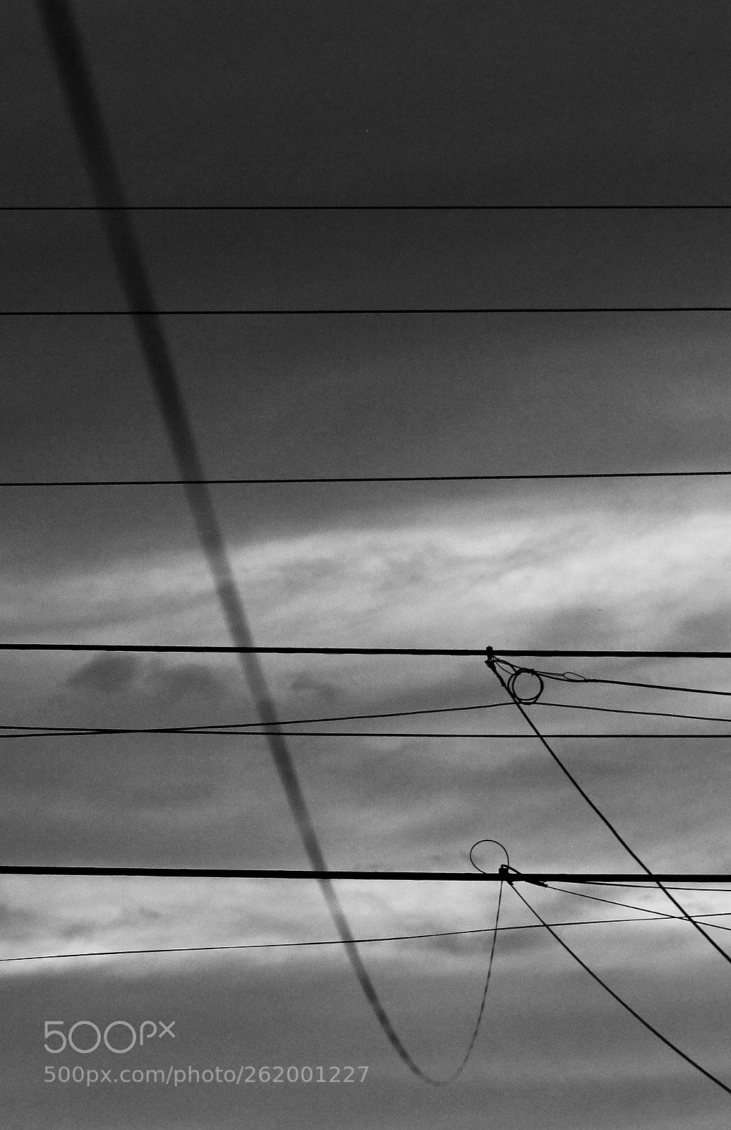 Canon EOS 60D sample photo. Untitled photography
