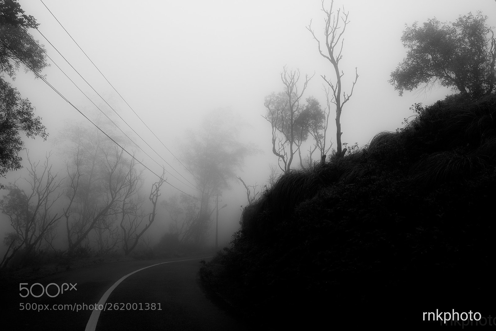 Nikon D500 sample photo. A horror story photography