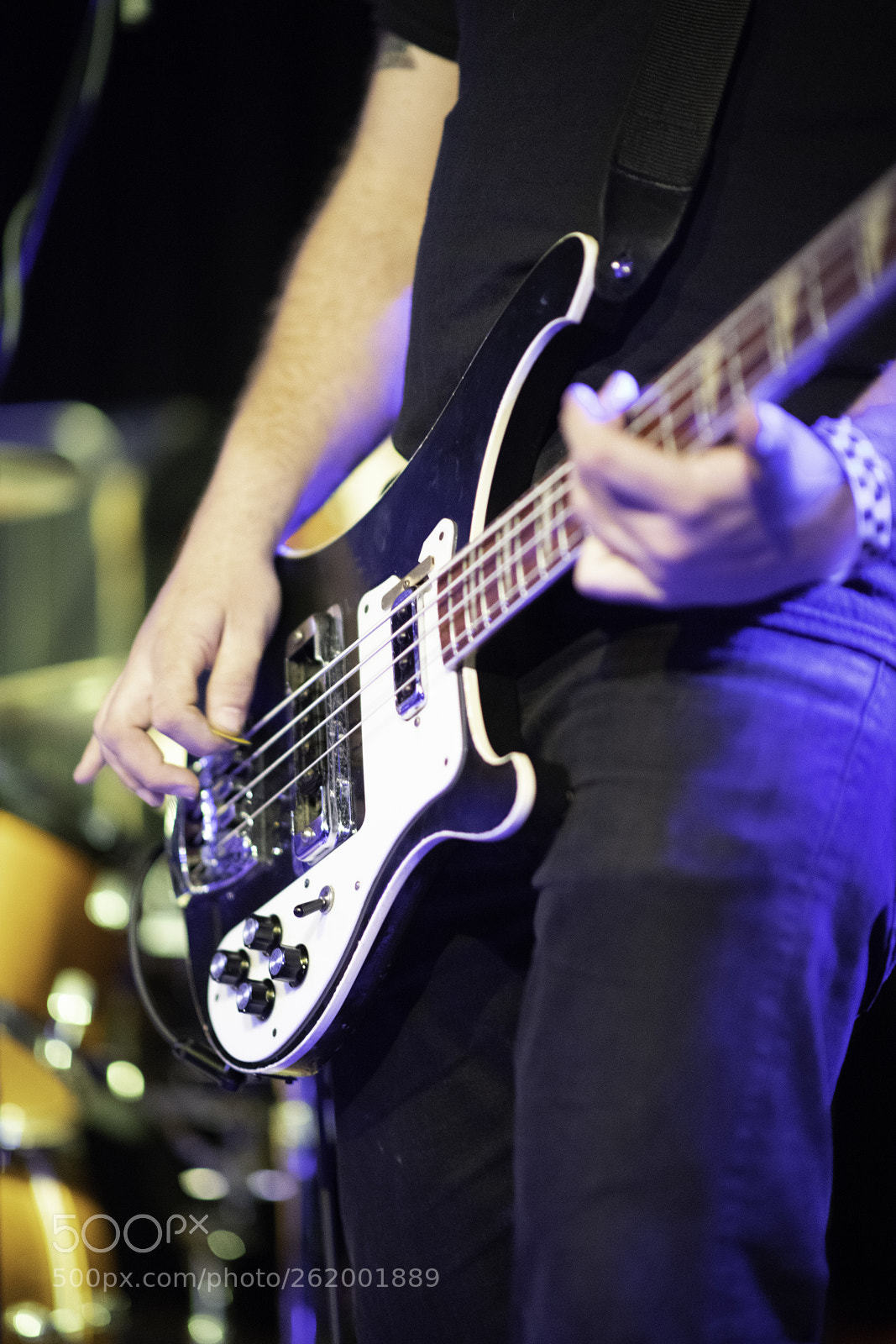 Nikon D850 sample photo. Screaming females photography