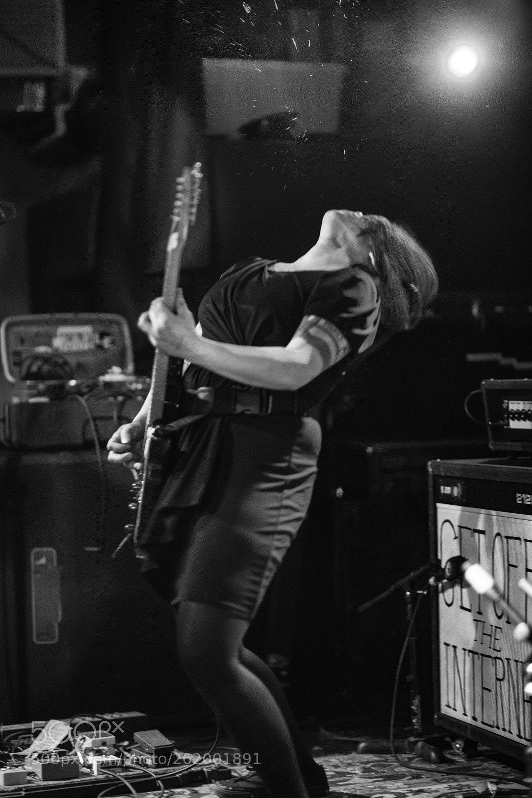 Nikon D850 sample photo. Screaming females photography