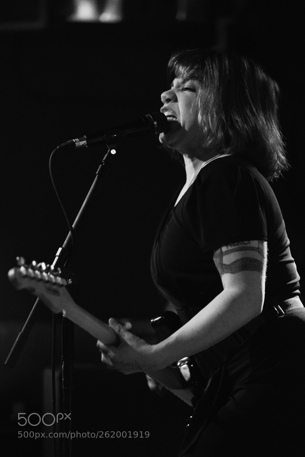 Nikon D850 sample photo. Screaming females photography