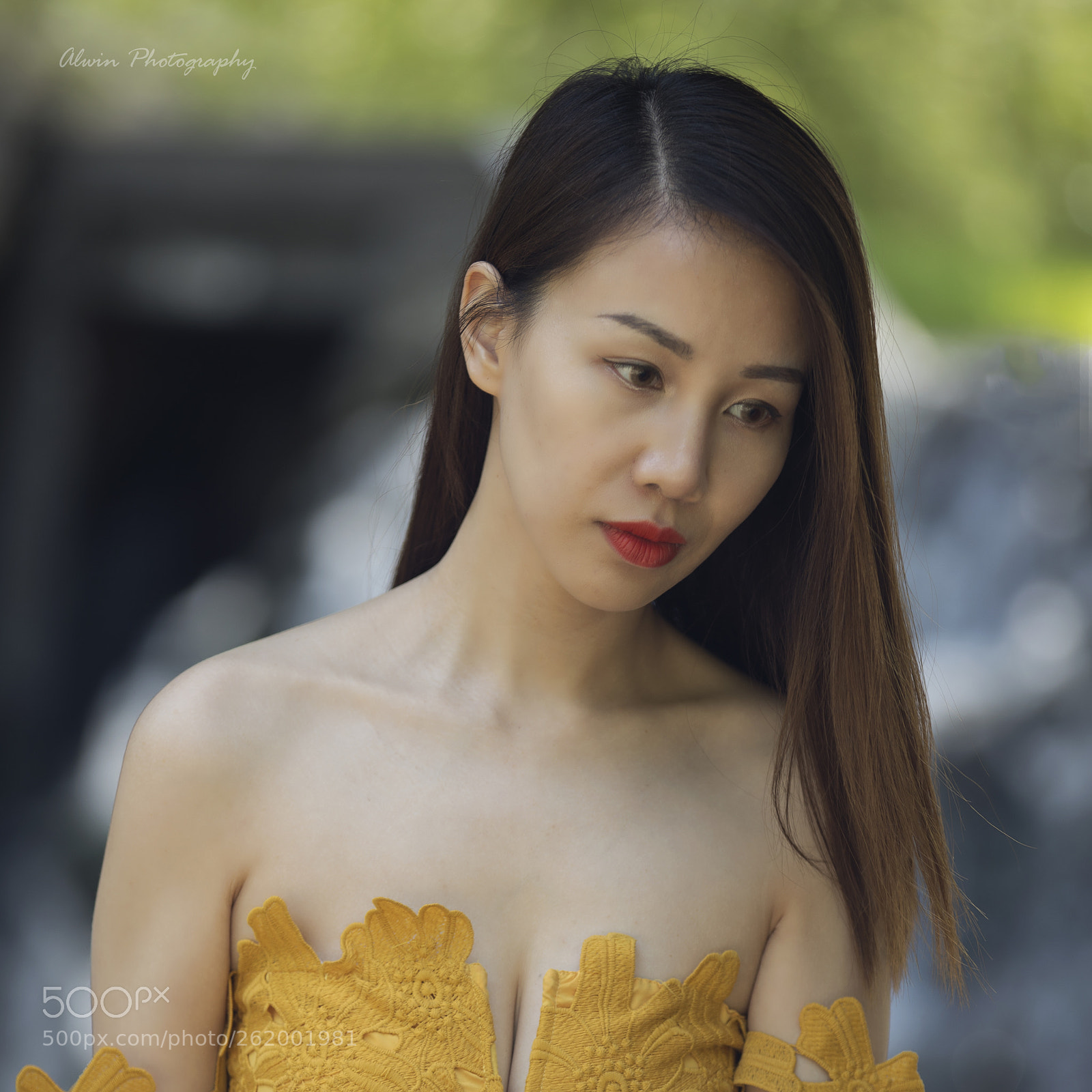 Canon EOS 5D Mark IV sample photo. Meow03 photography