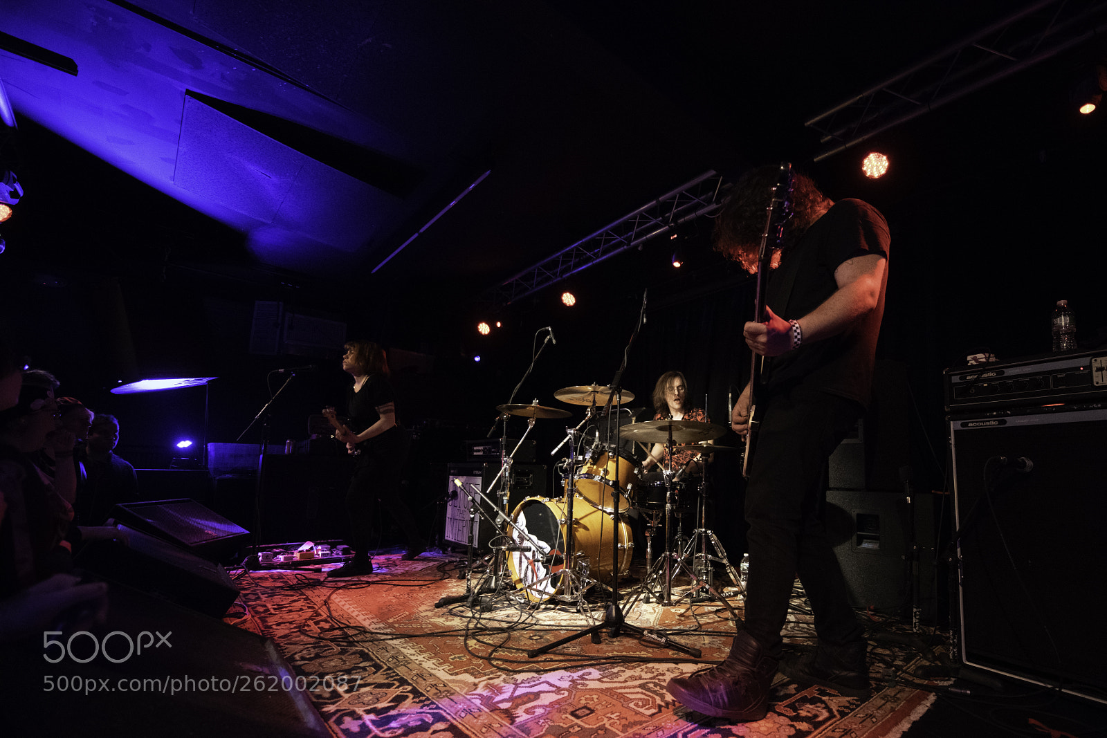 Nikon D850 sample photo. Screaming females photography
