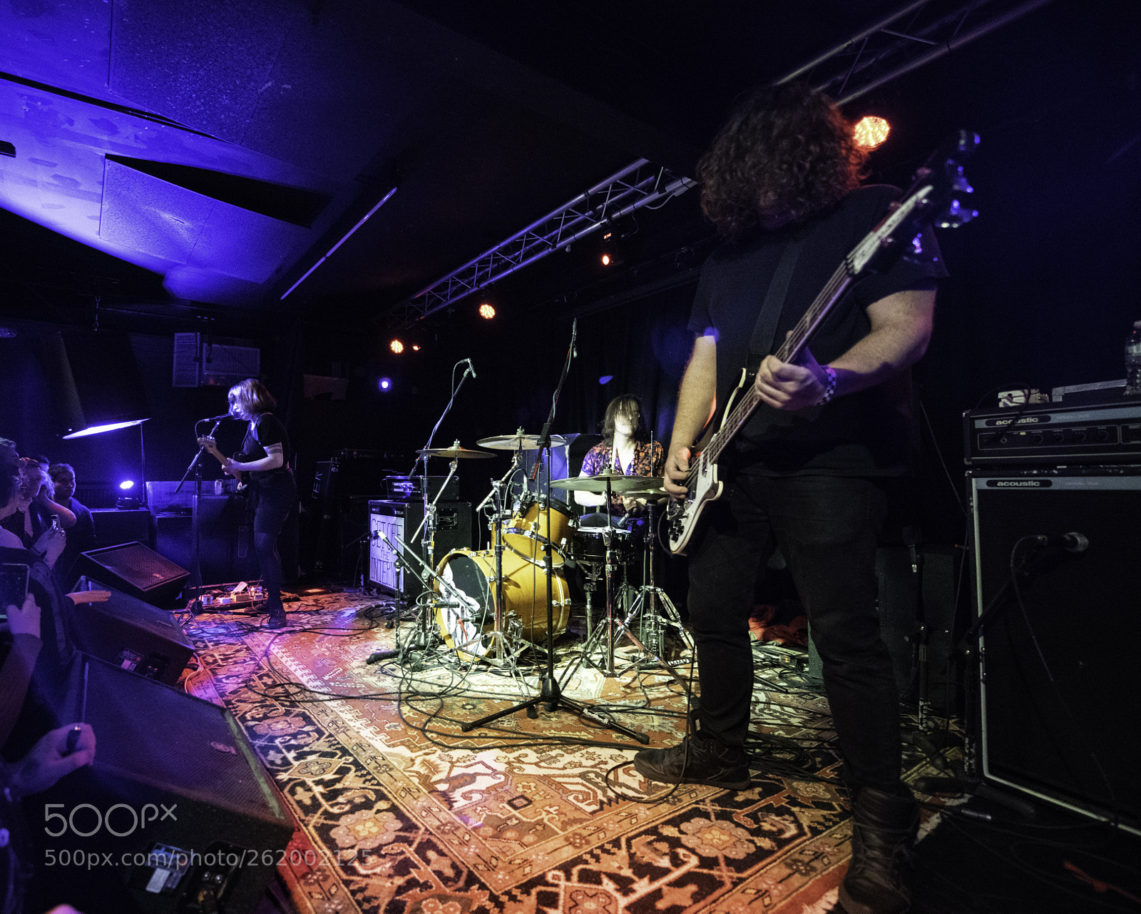 Nikon D850 sample photo. Screaming females photography