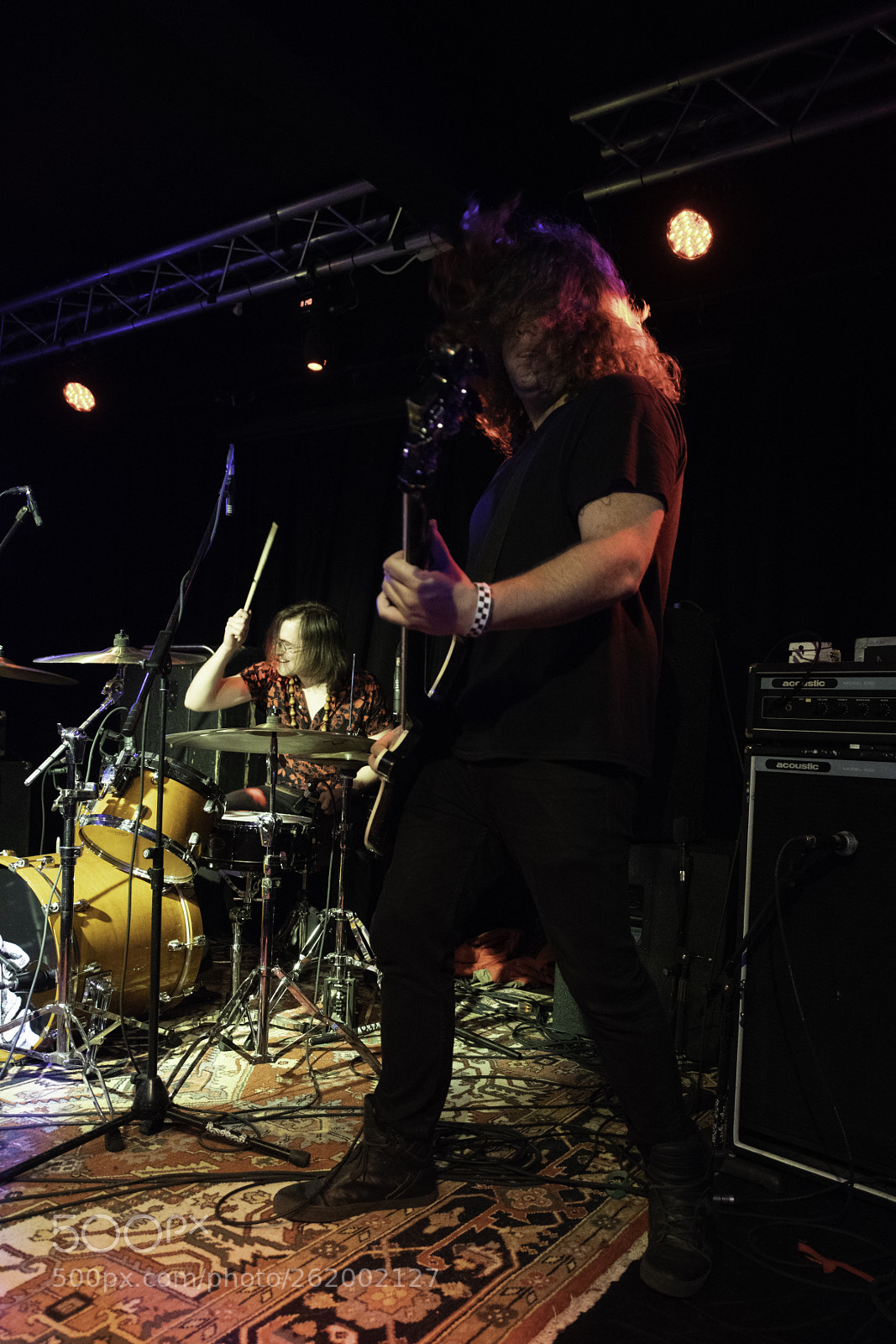 Nikon D850 sample photo. Screaming females photography