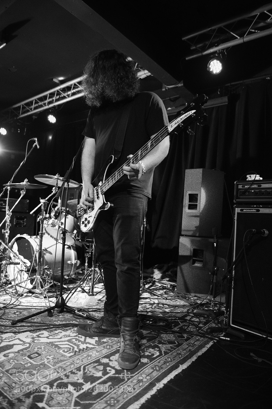 Nikon D850 sample photo. Screaming females photography