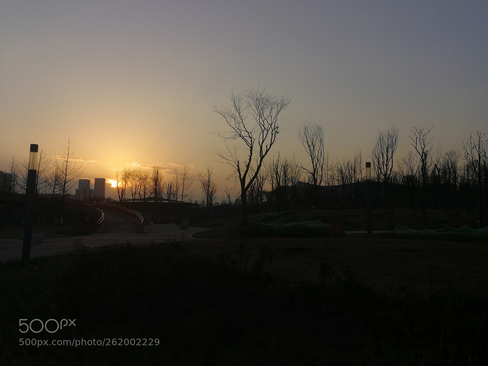 HUAWEI P10 sample photo. Untitled photography