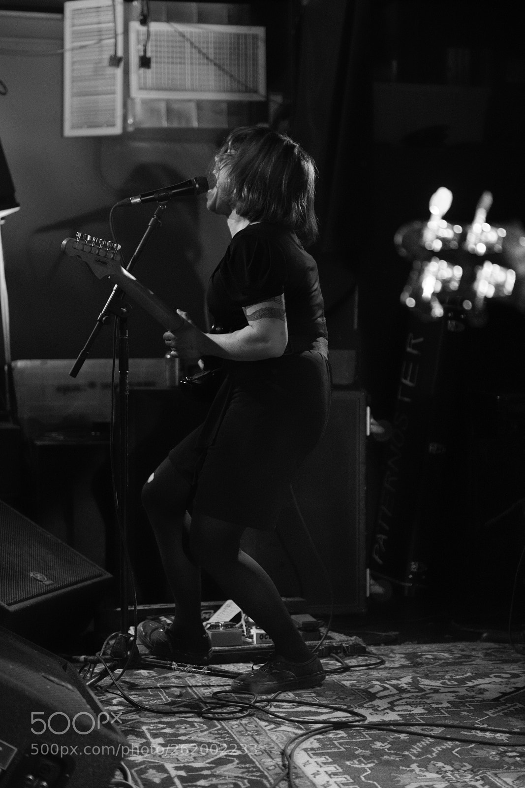 Nikon D850 sample photo. Screaming females photography