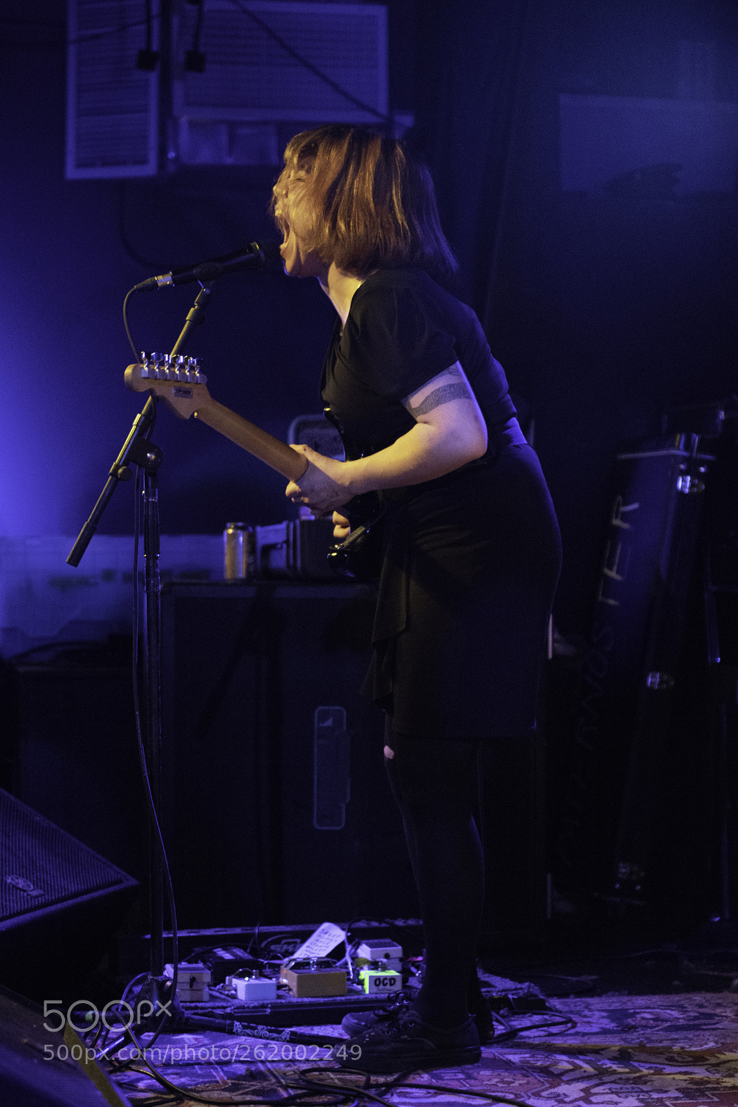 Nikon D850 sample photo. Screaming females photography
