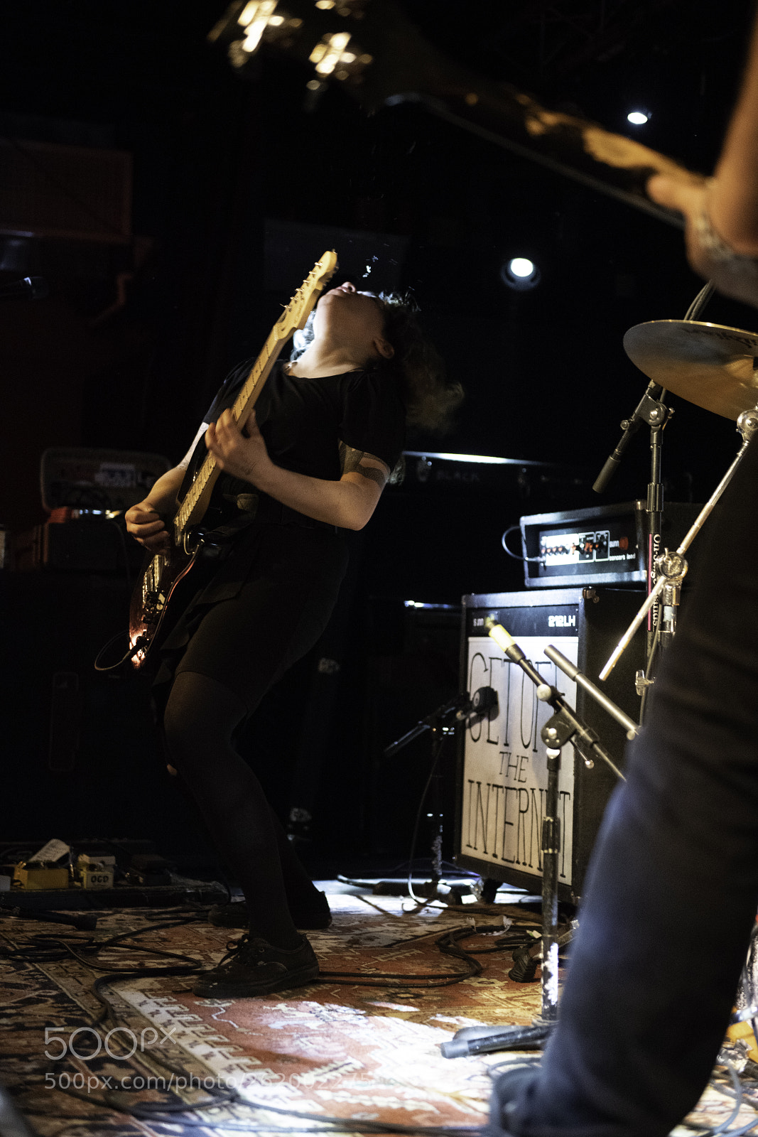 Nikon D850 sample photo. Screaming females photography