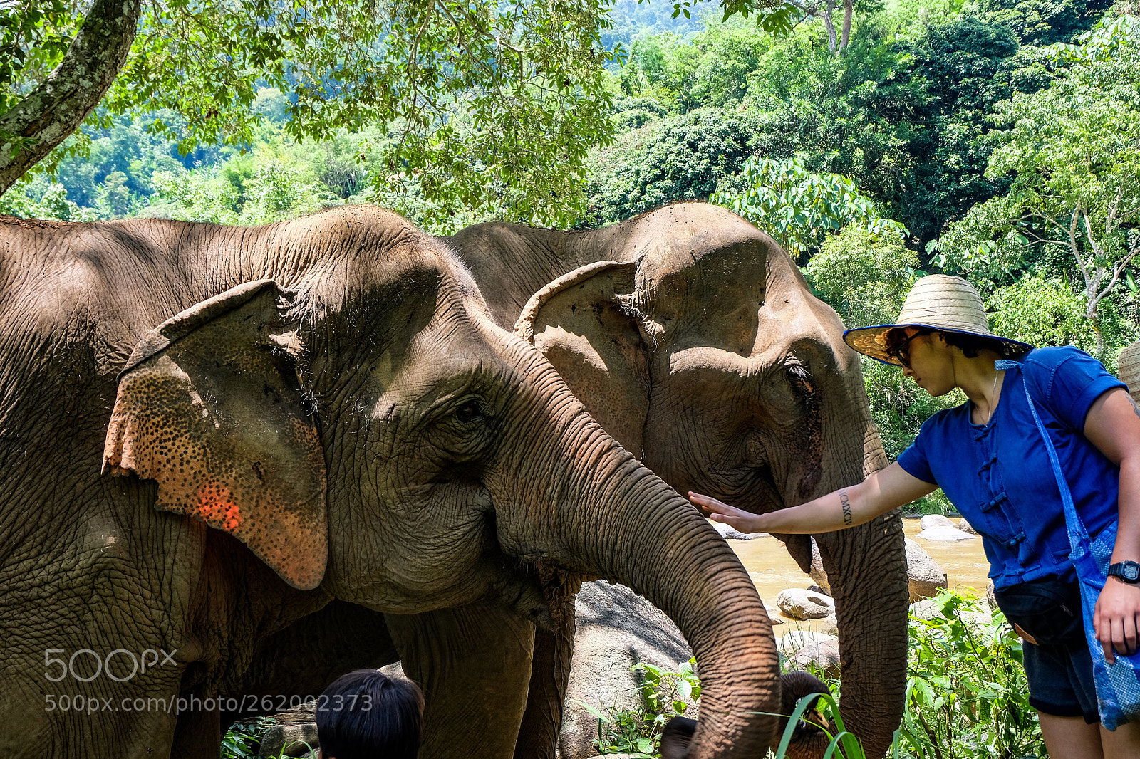 Fujifilm X-T10 sample photo. Untitled photography
