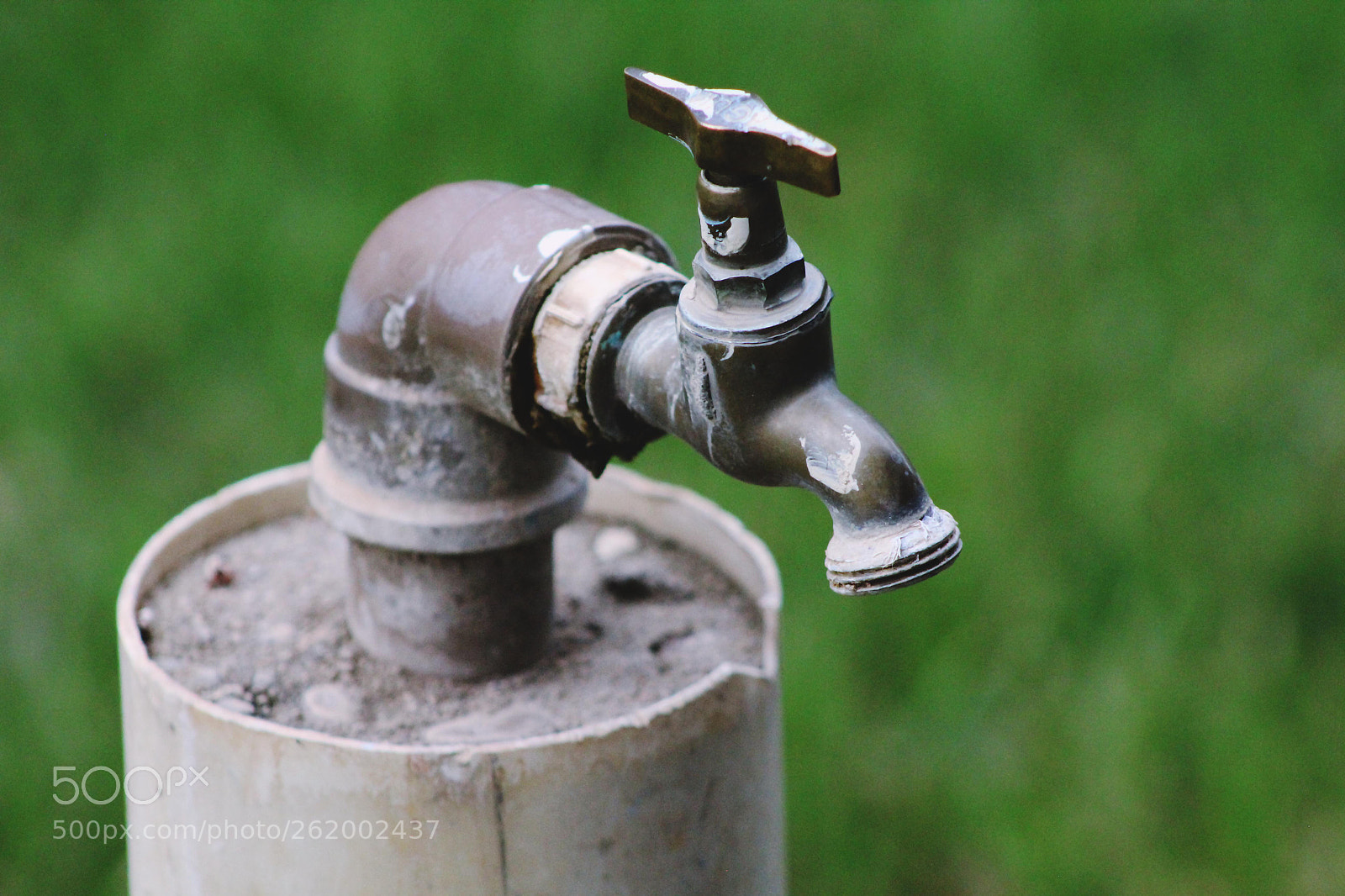 Canon EF 75-300mm f/4-5.6 sample photo. :: photography