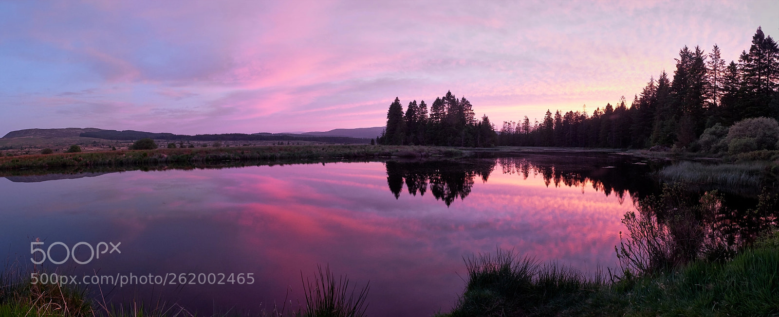 Fujifilm X-T2 sample photo. Galloway forest photography