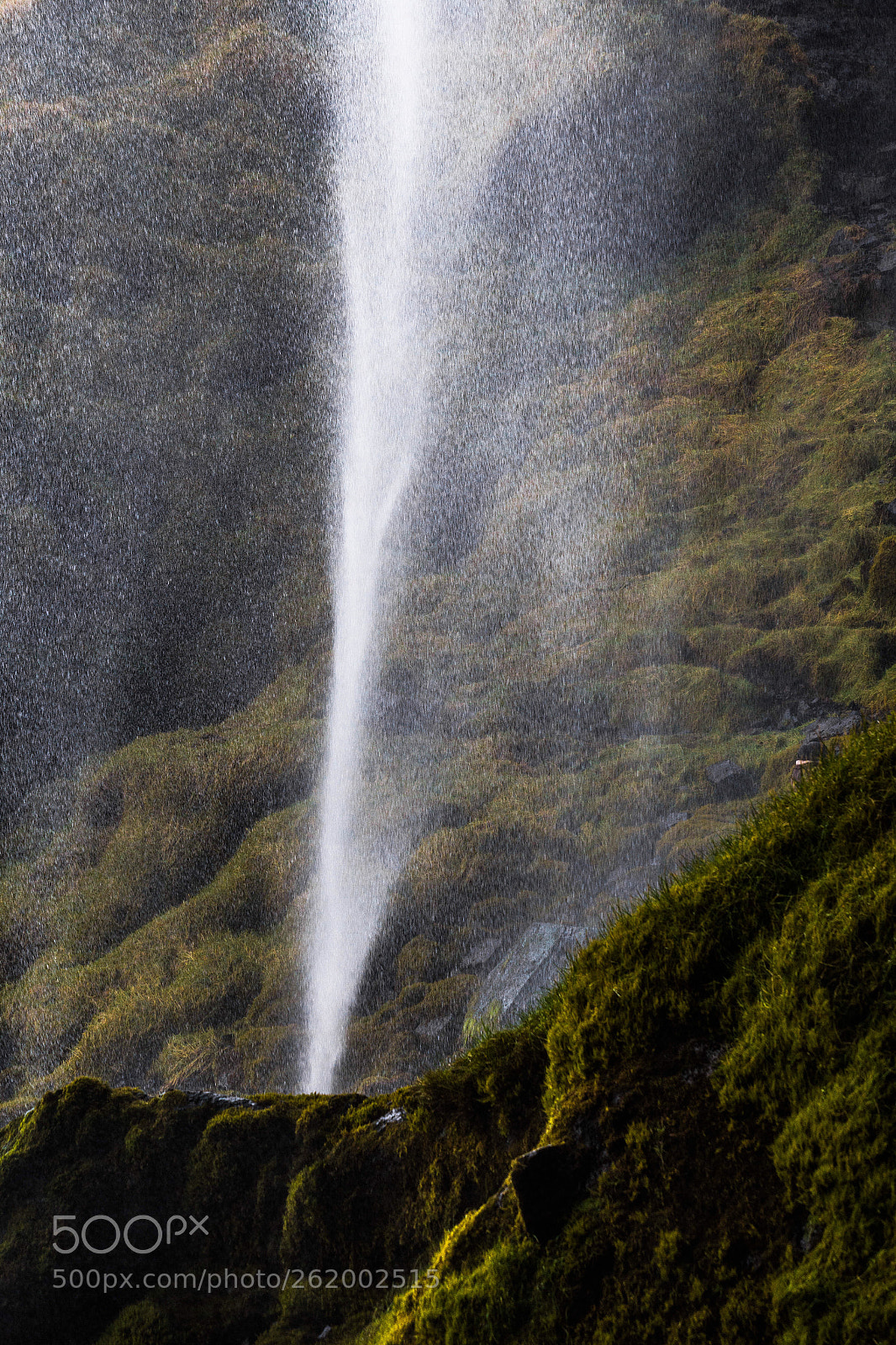 Canon EOS 6D sample photo. Descending mist photography