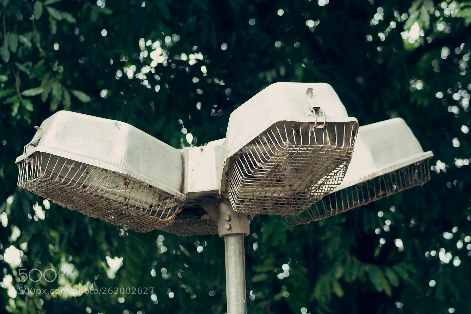 Canon EF 75-300mm f/4-5.6 sample photo. *** photography