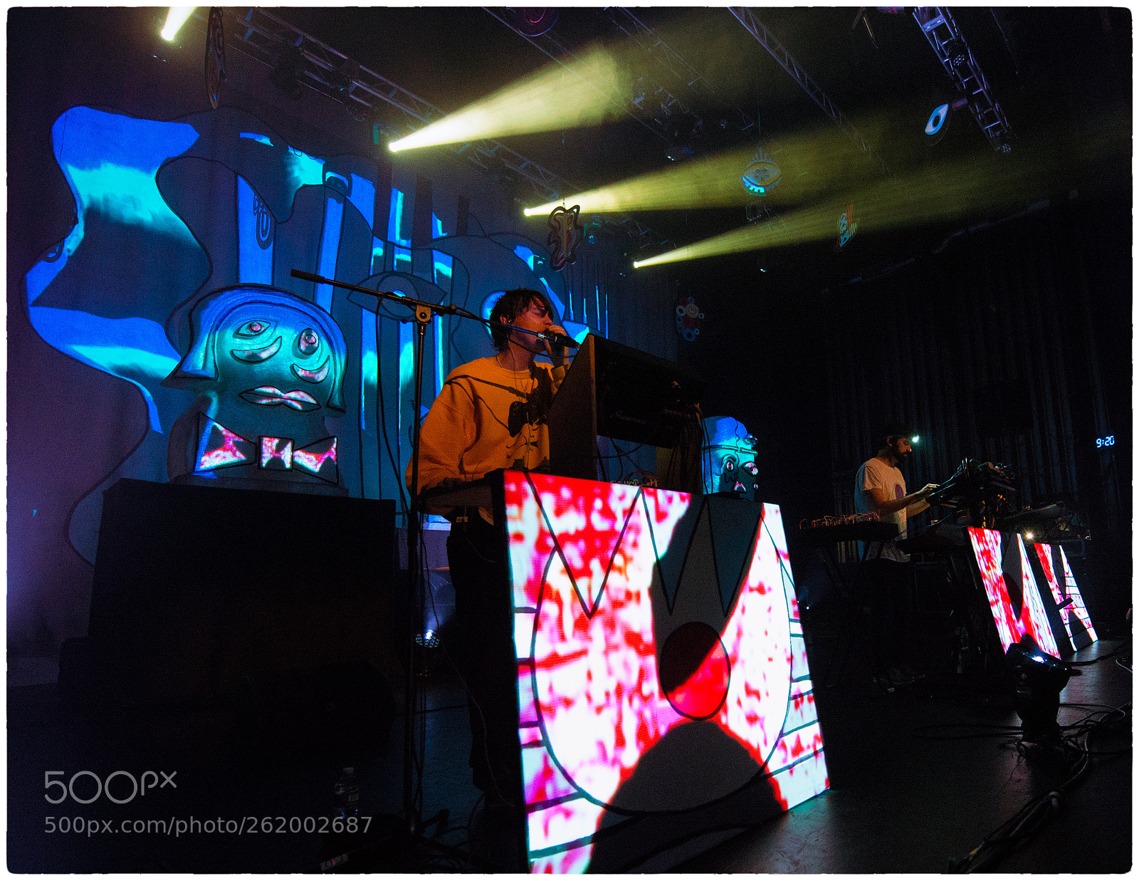 Nikon D800E sample photo. Animal collective photography