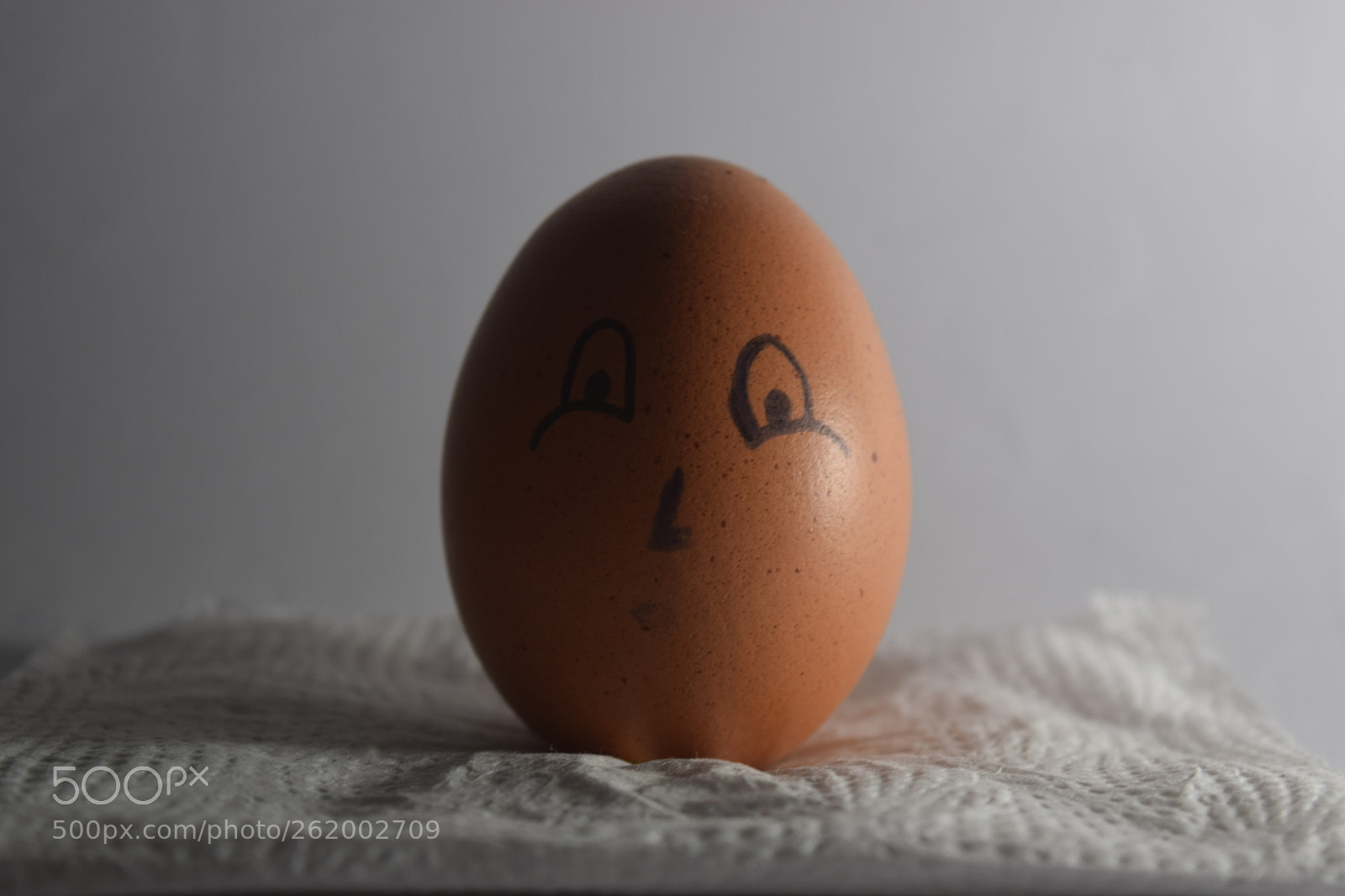 Nikon D3300 sample photo. Split light photography