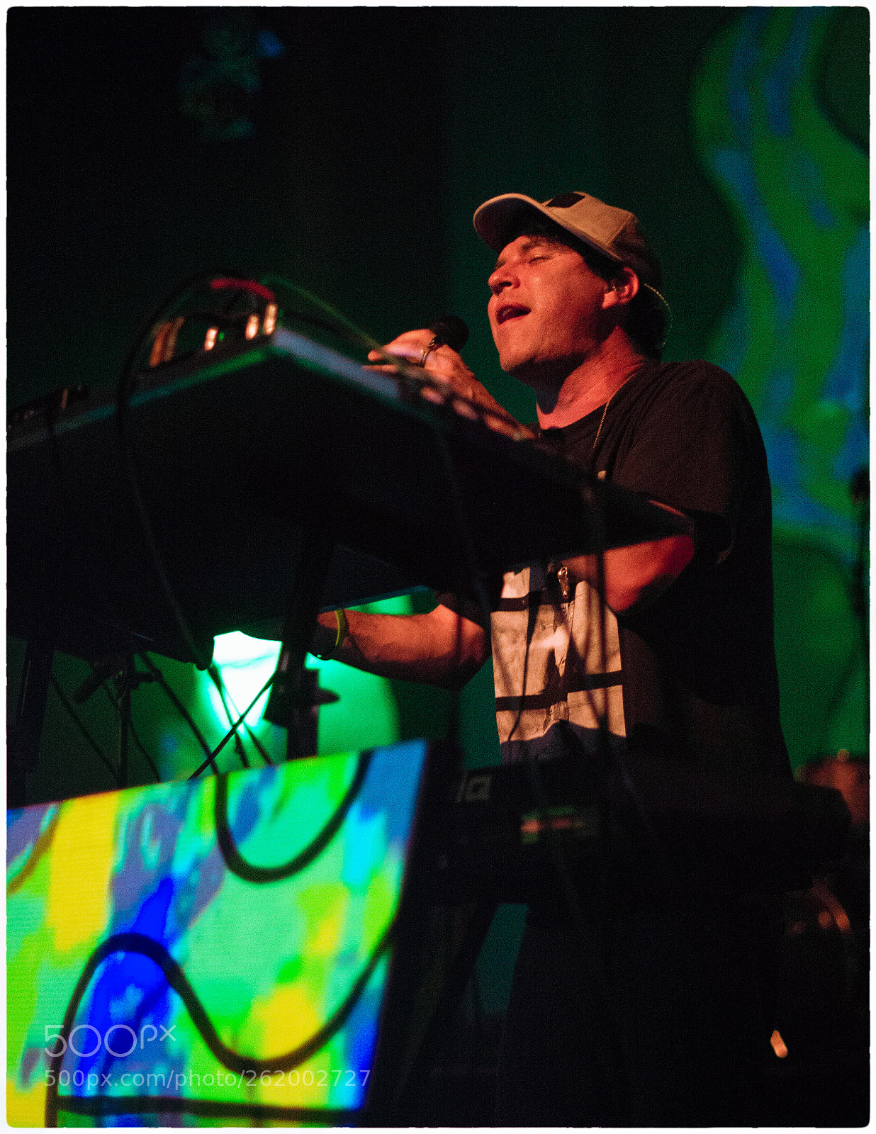Nikon D800E sample photo. Animal collective photography