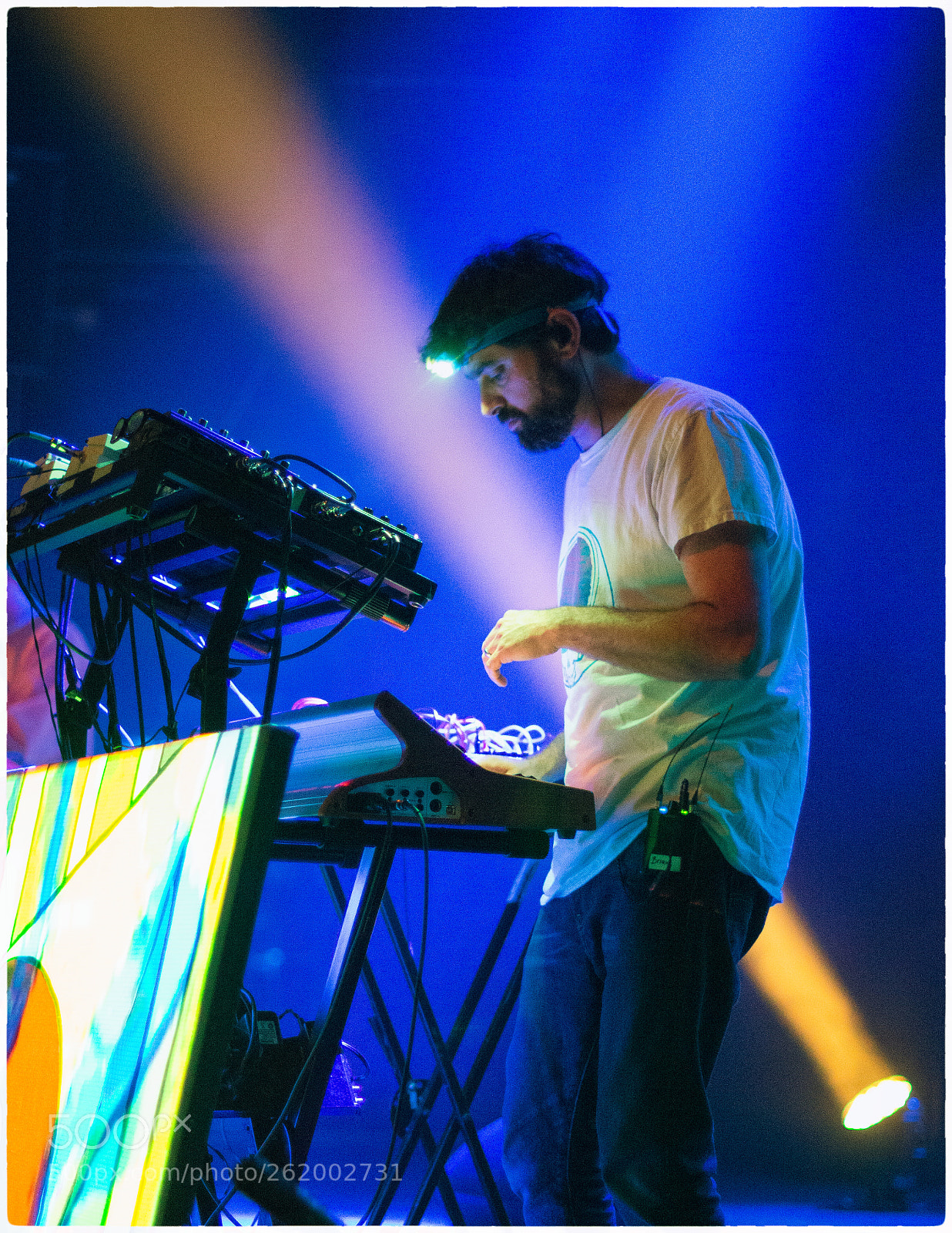 Nikon D800E sample photo. Animal collective photography