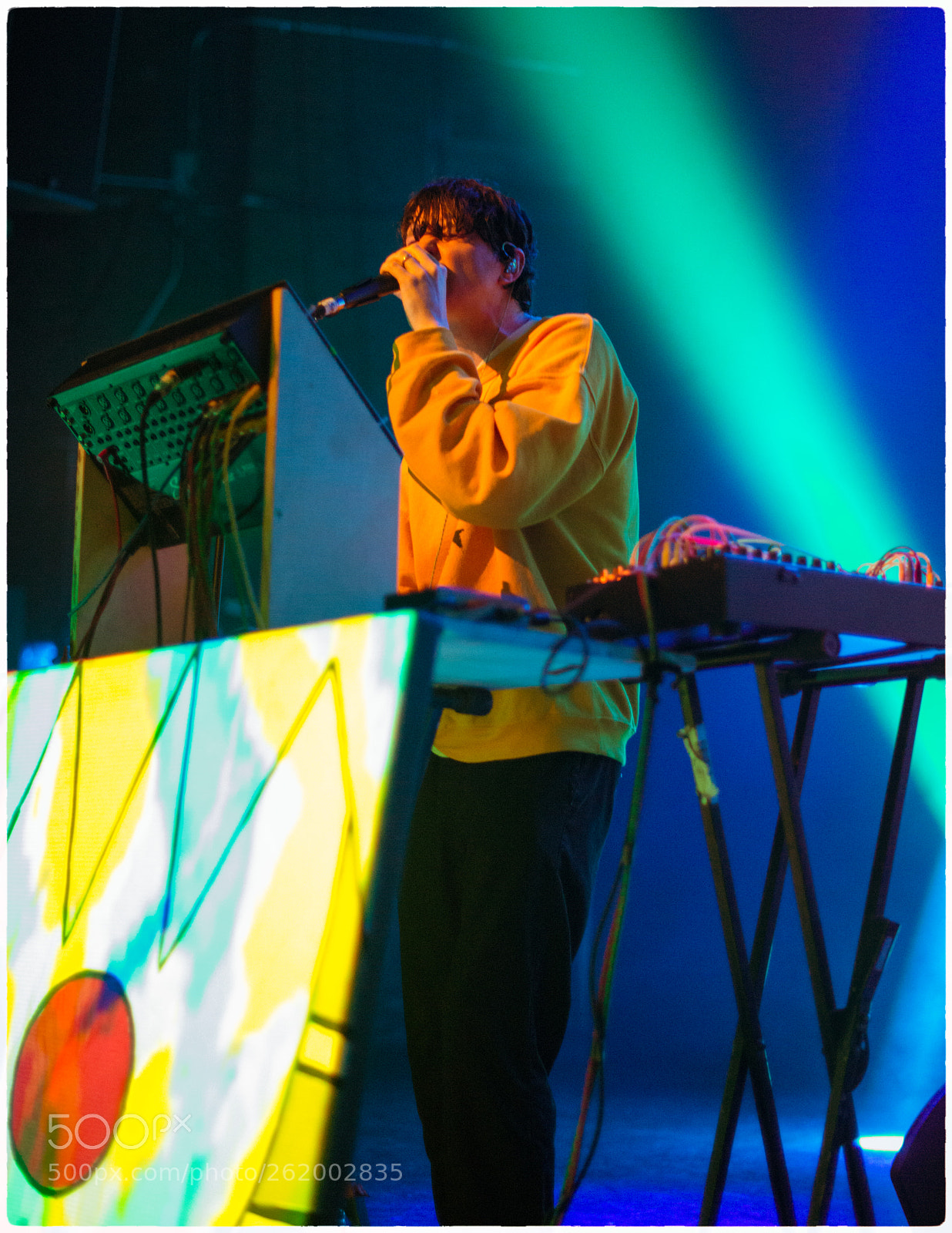 Nikon D800E sample photo. Animal collective photography