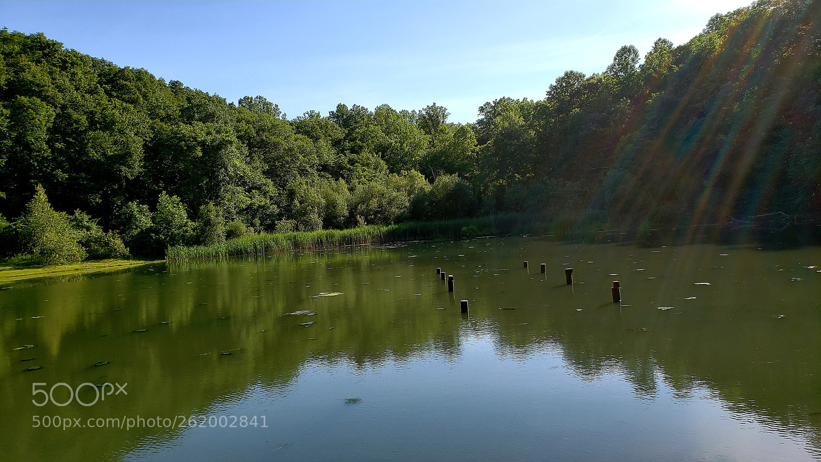 Samsung Galaxy S9 sample photo. Morris canal park photography