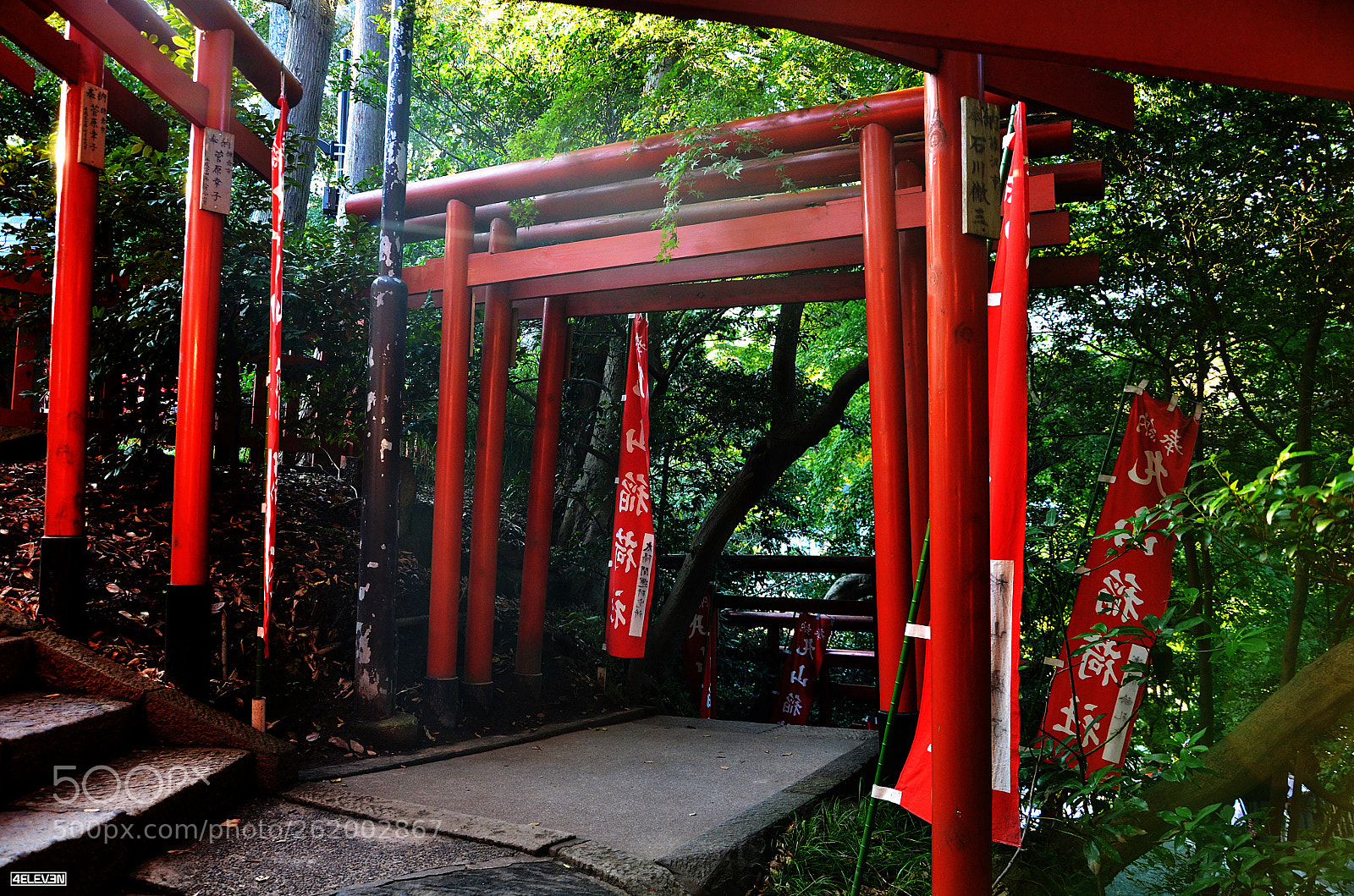 Nikon D7000 sample photo. Torii gates in kamakura photography