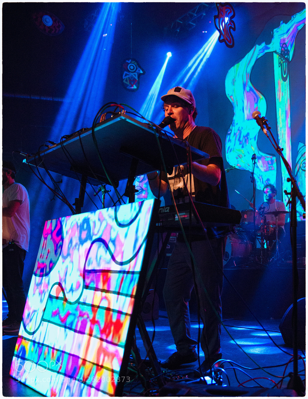 Nikon D800E sample photo. Animal collective photography