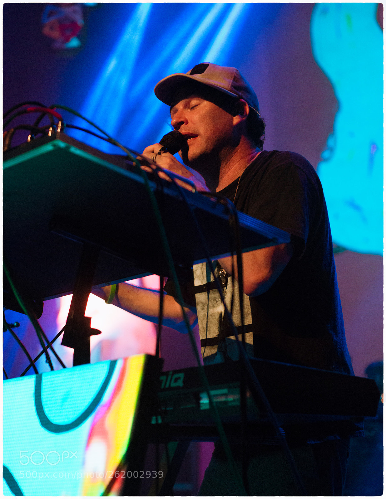 Nikon D800E sample photo. Animal collective photography